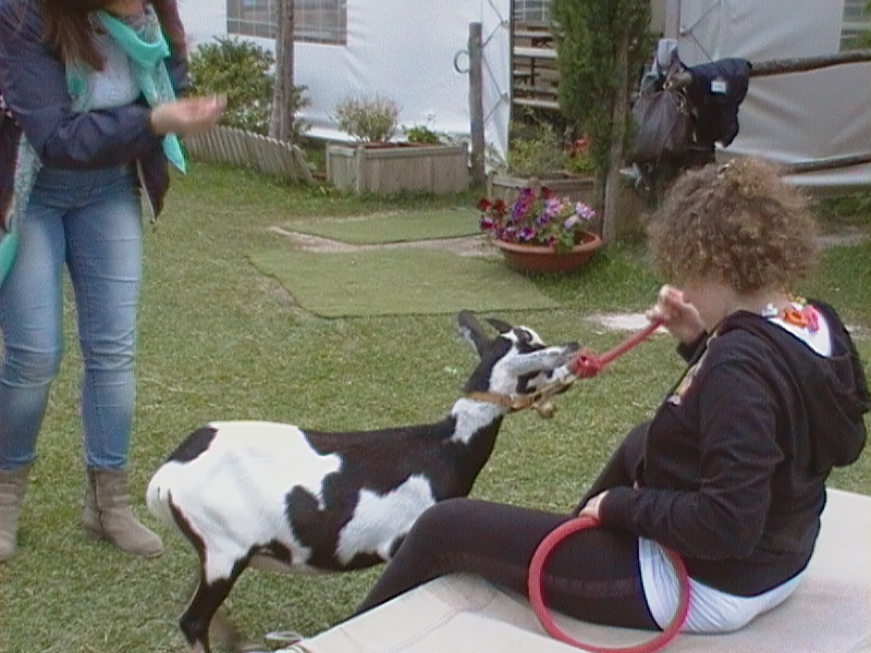 bimba che gioca con una capretta 